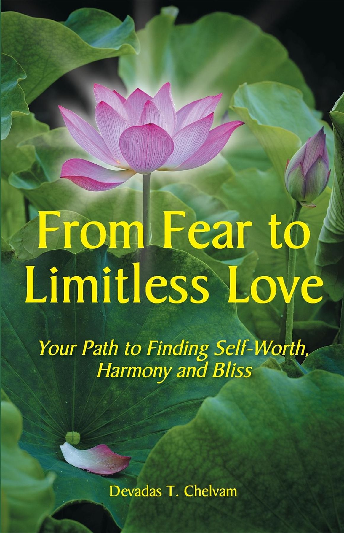 From Fear to Limitless Love: Your Path to Finding Self-Worth, Harmony and Bliss