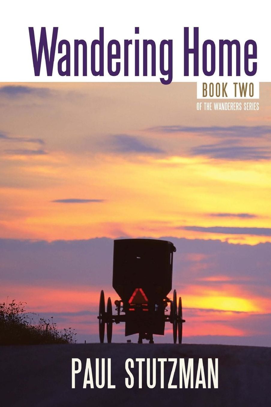 Wandering Home