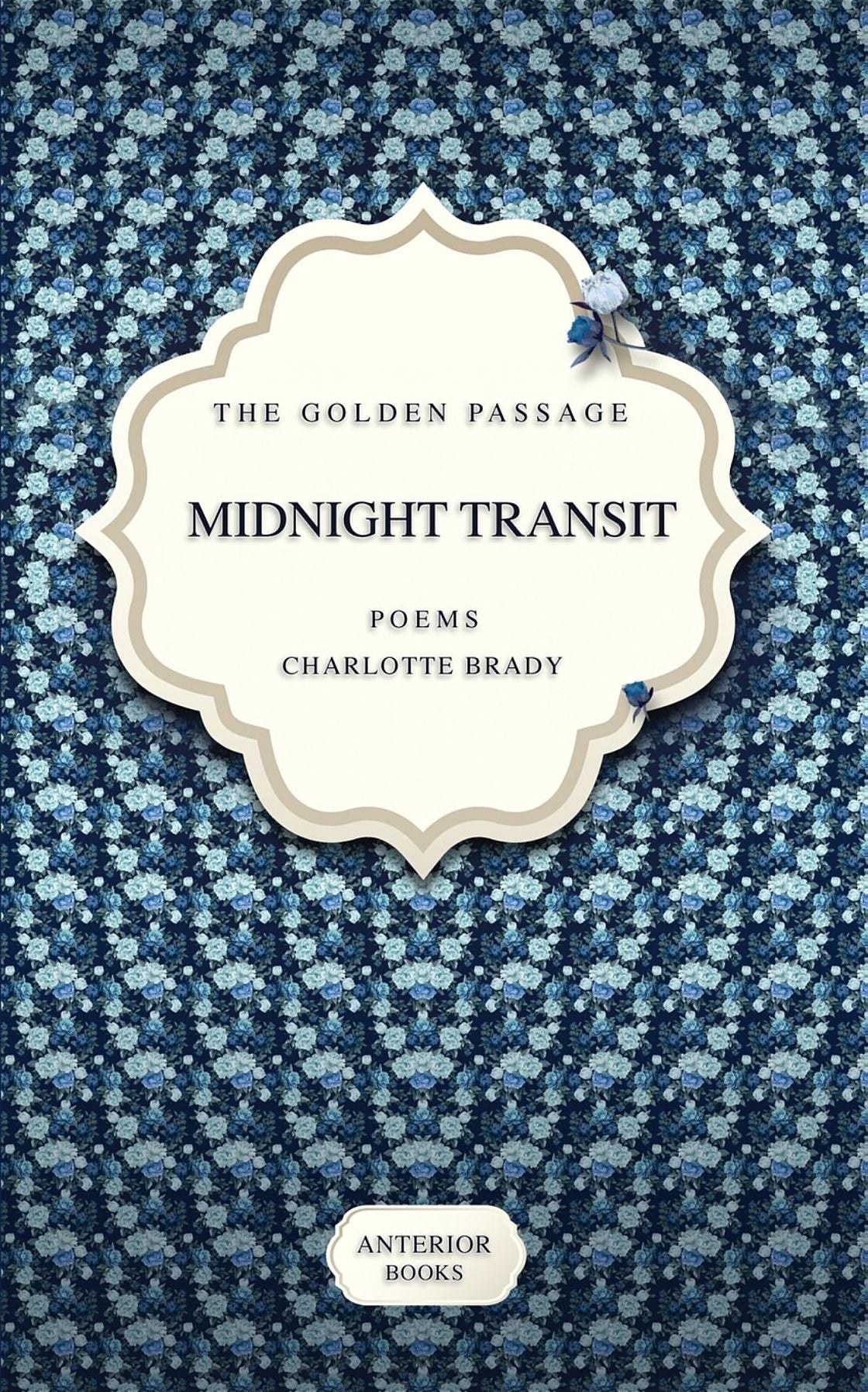 Midnight Transit