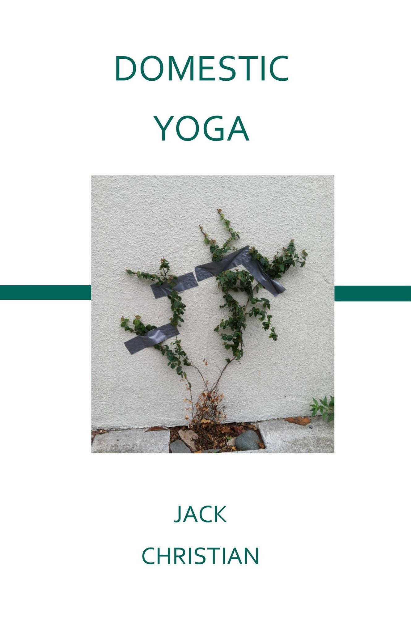 Domestic Yoga