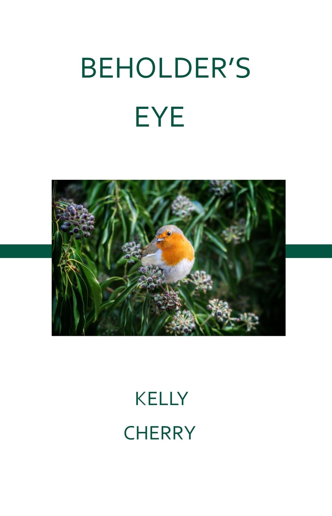Beholder's Eye