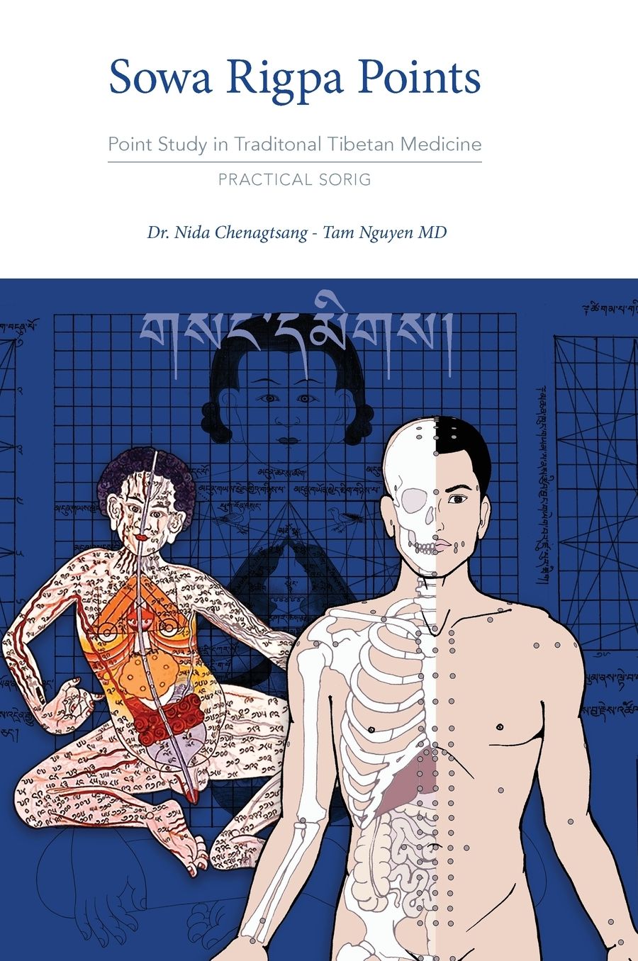 Sowa Rigpa Points: Point Study in Traditional Tibetan Medicine