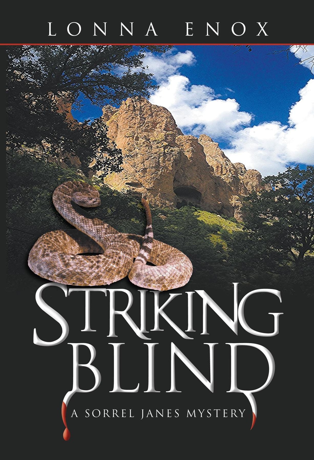 Striking Blind: A Sorrel Janes Mystery