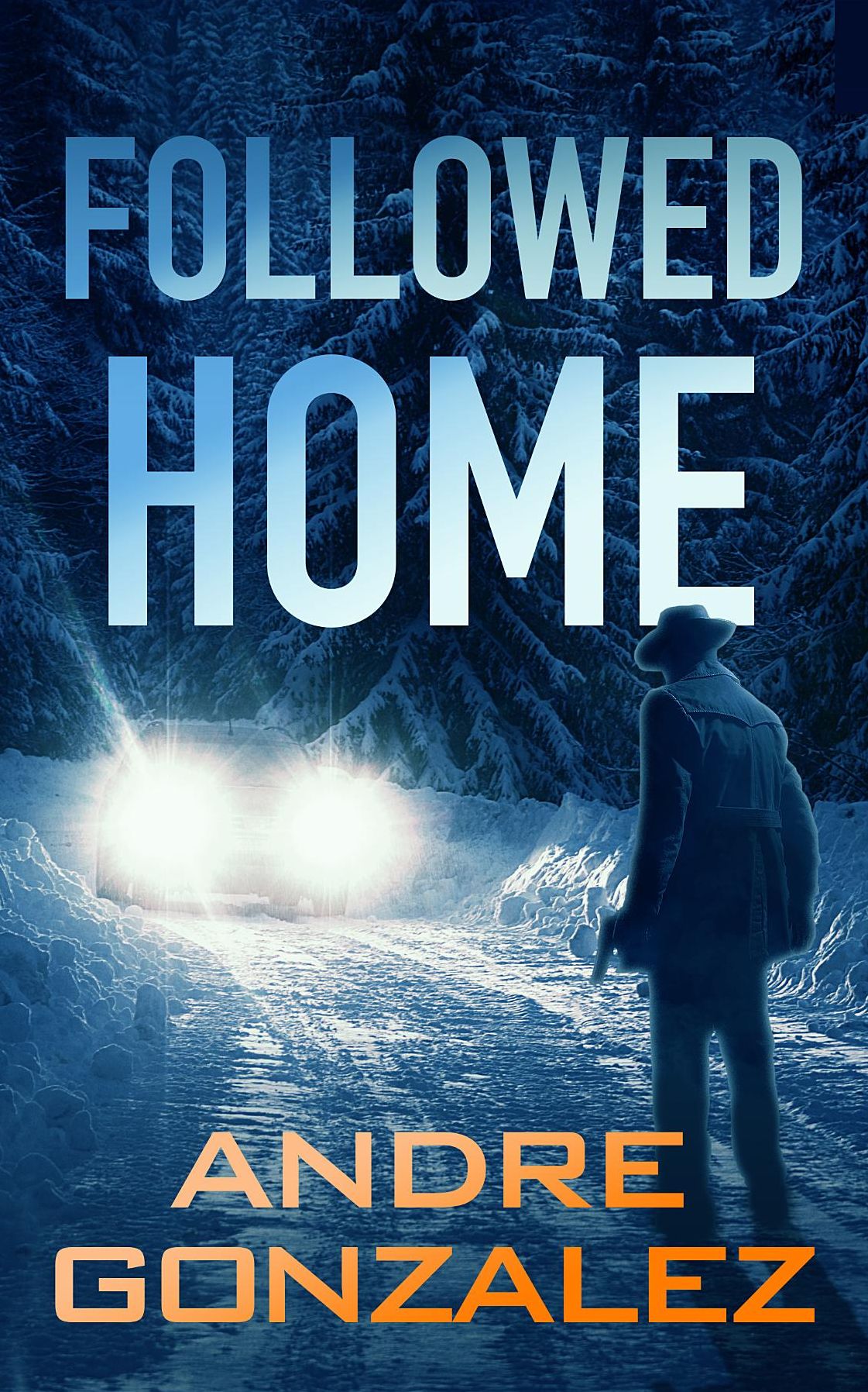 Followed Home