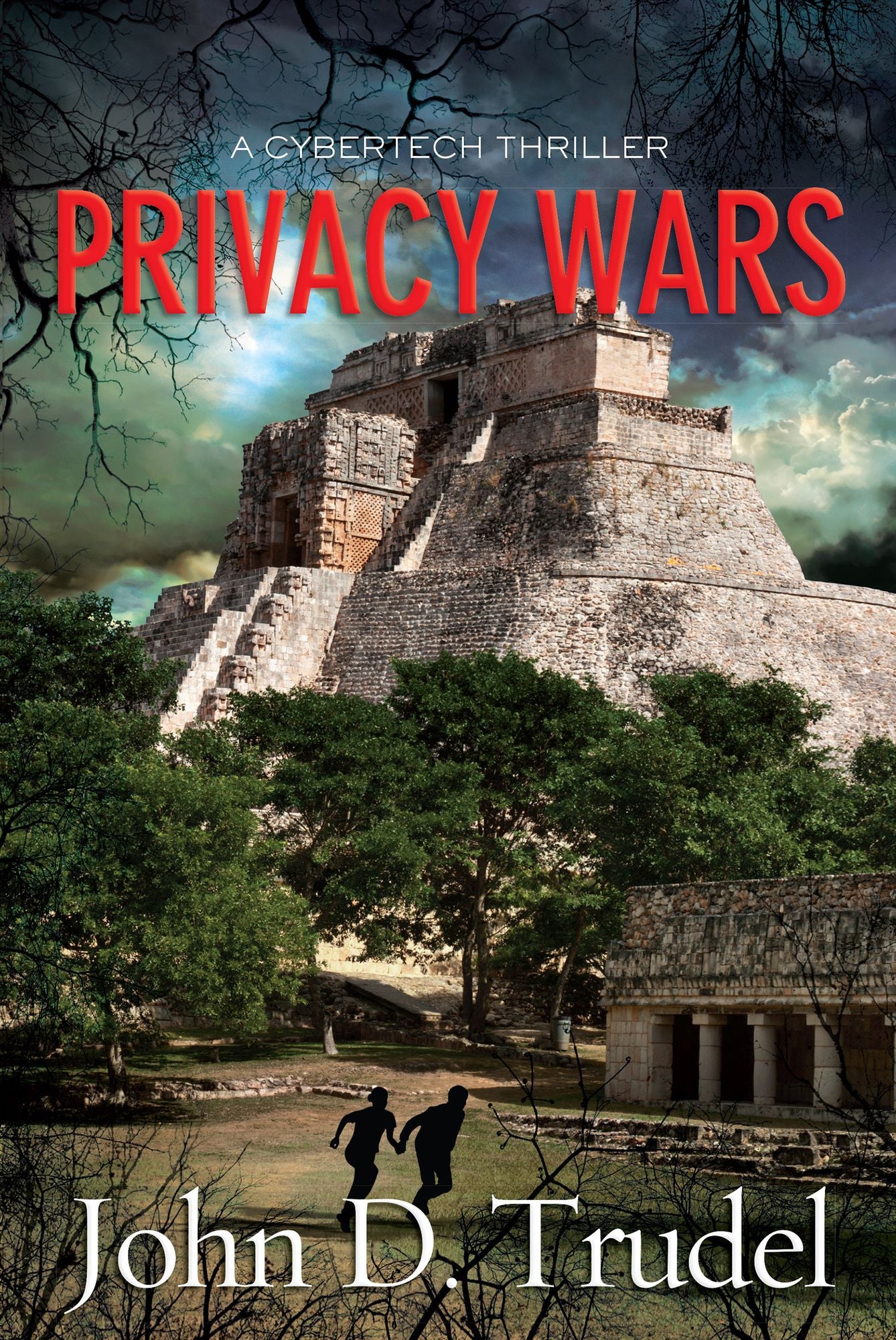 Privacy Wars: A Cybertech Thriller