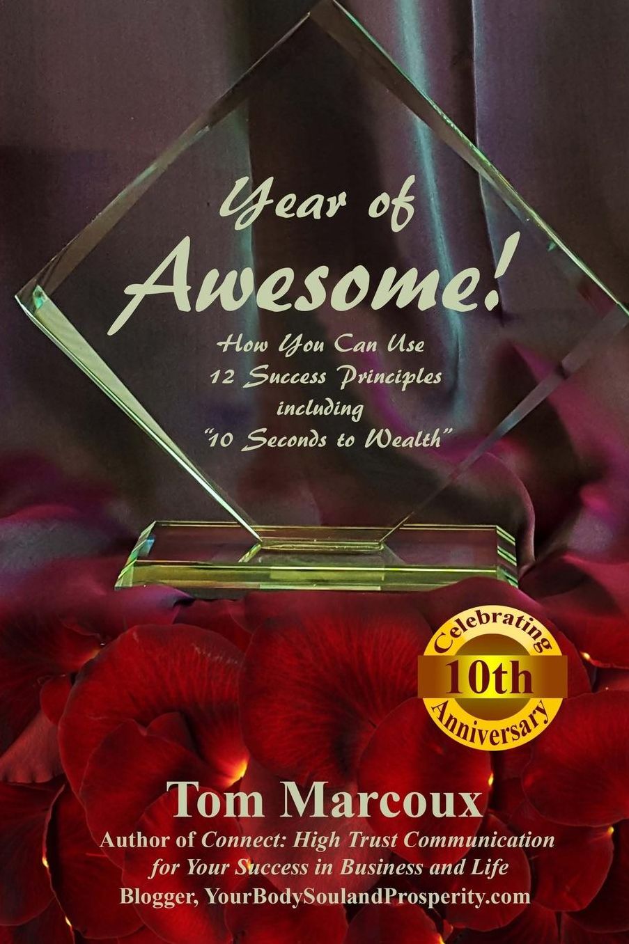 Year of Awesome!: How You Can Use 12 Success Principles including 10 Seconds to Wealth