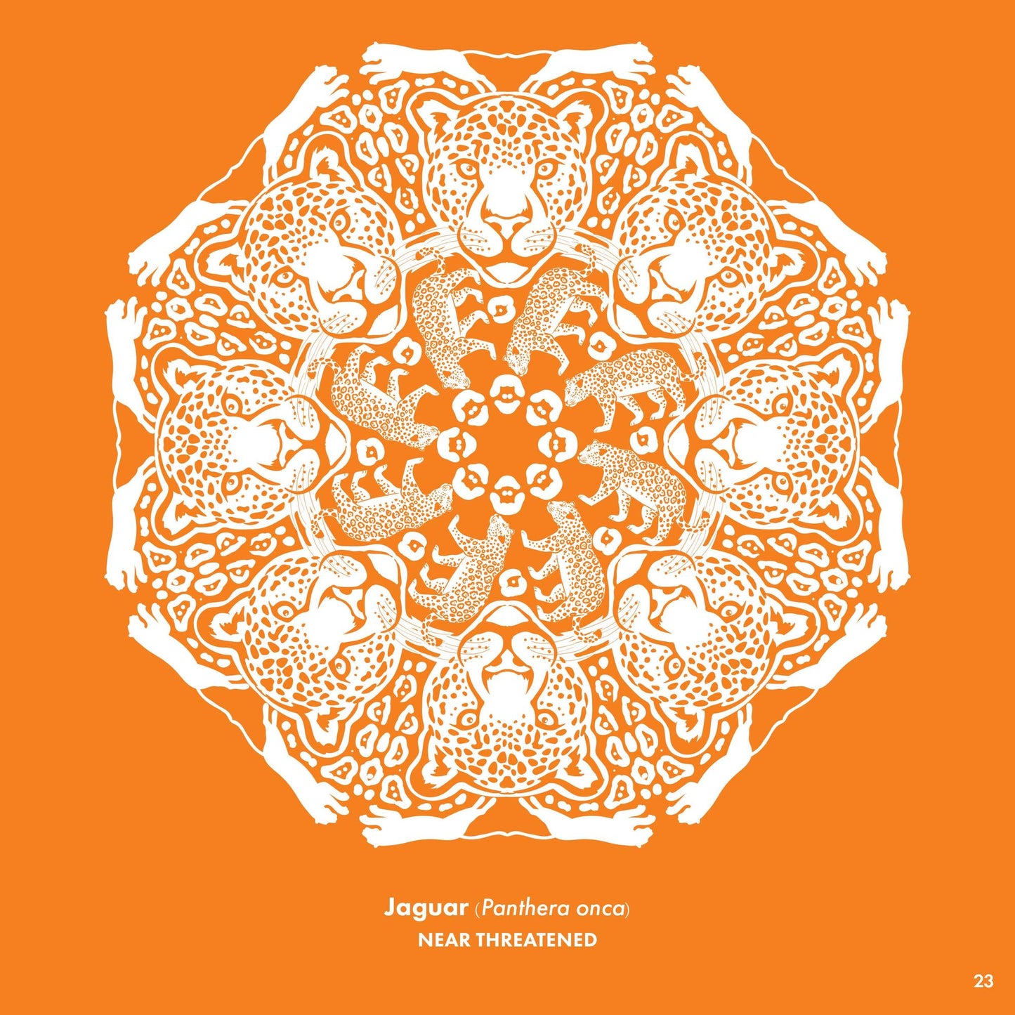 Zooflakes