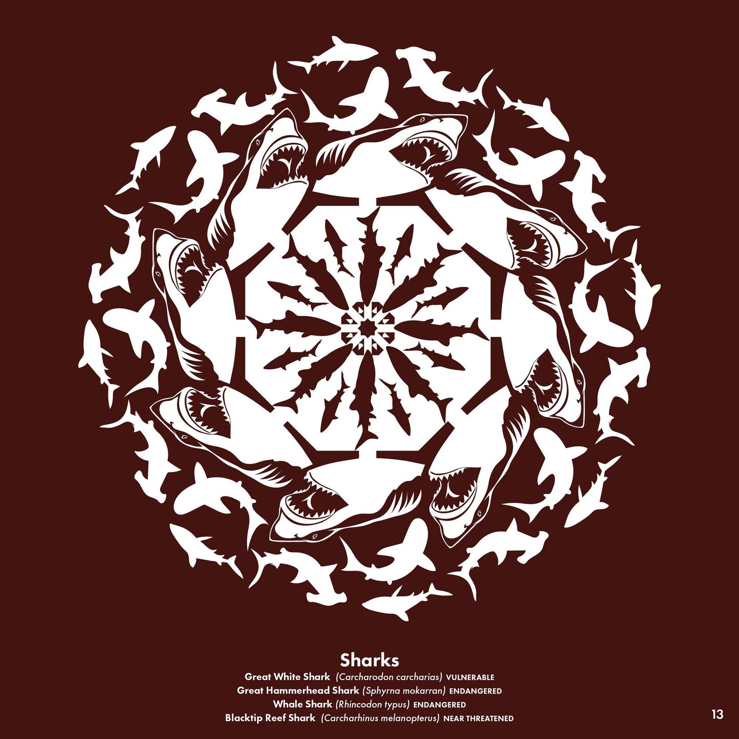 Zooflakes