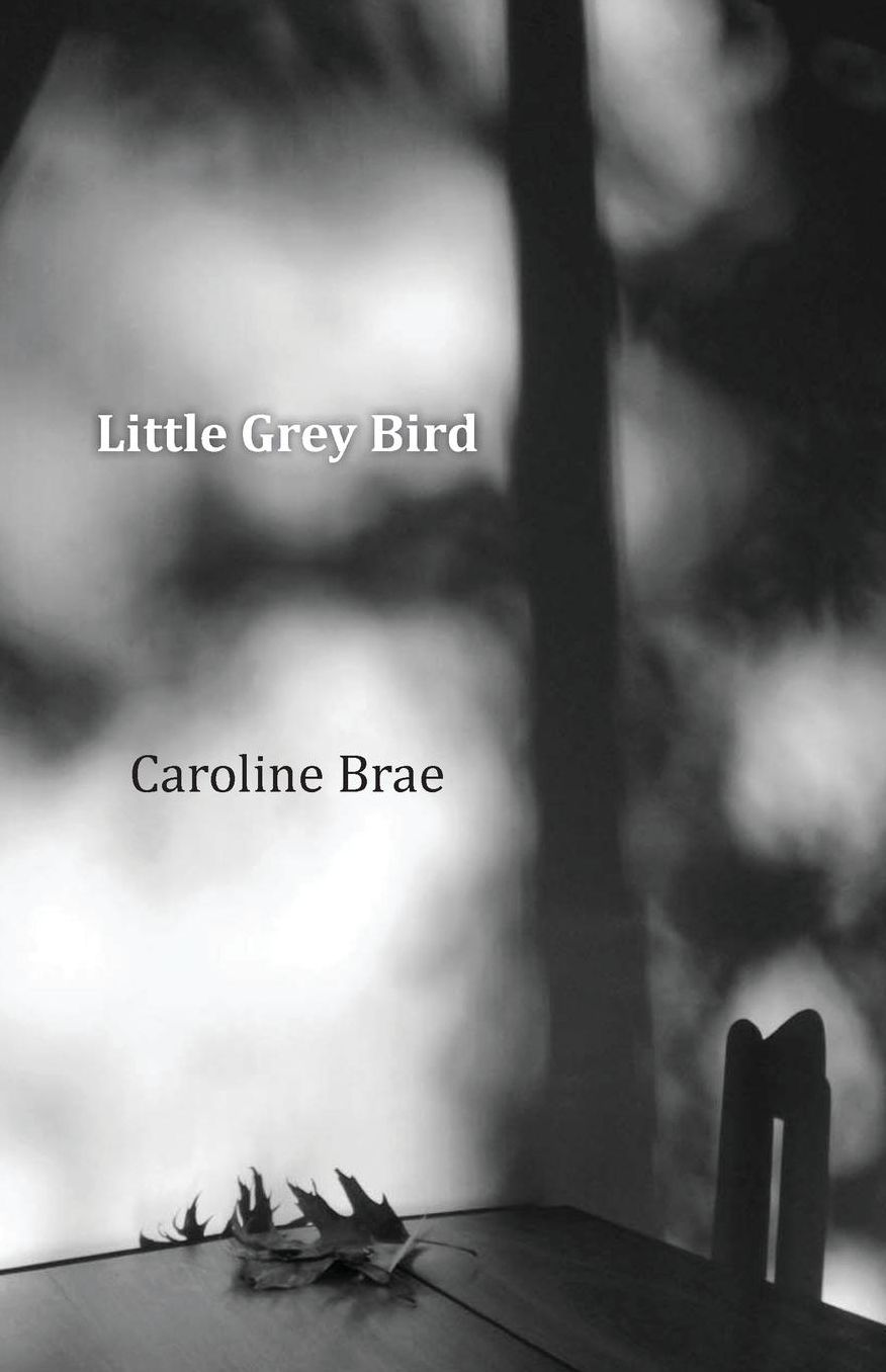 Little Grey Bird