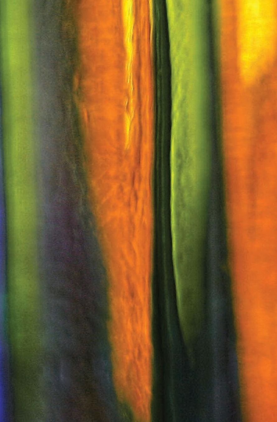A Journal of Mine: Inner Chambers