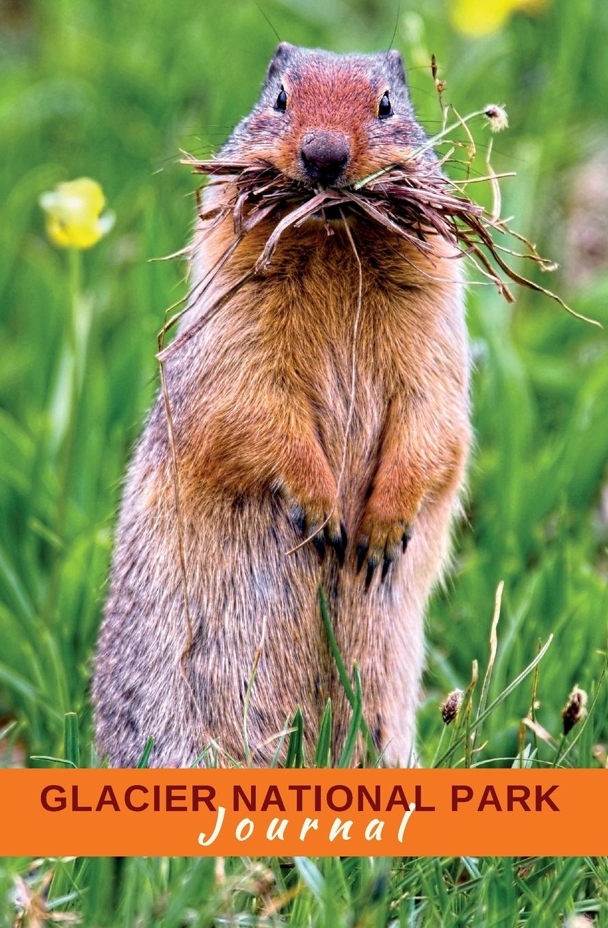 Glacier National Park Journal: Columbian Ground Squirrel