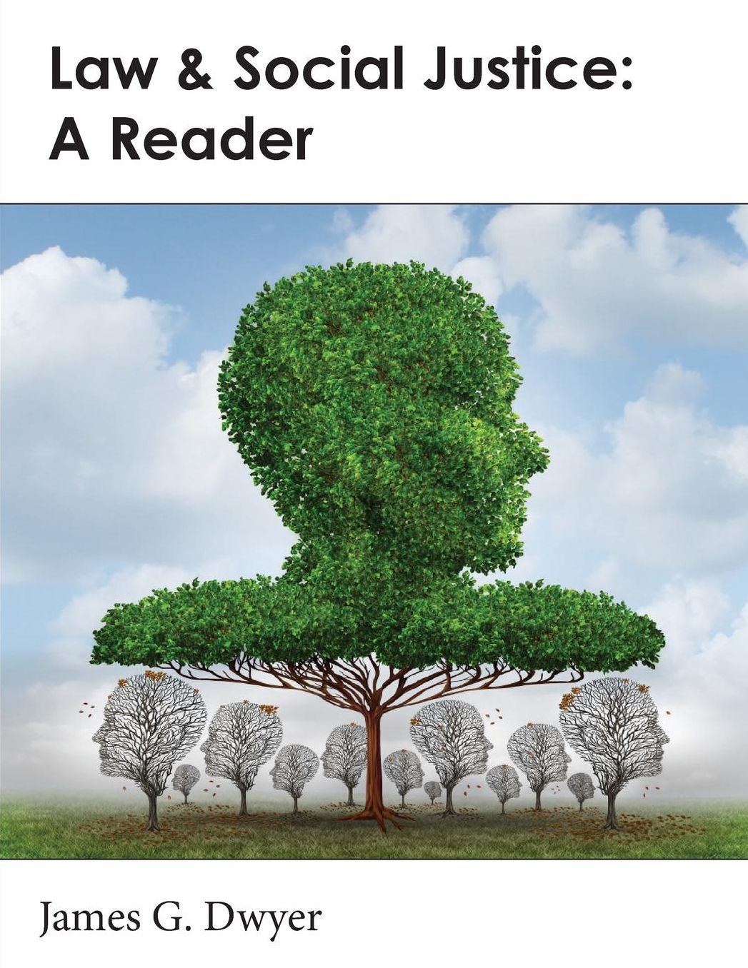 Law & Social Justice: A Reader