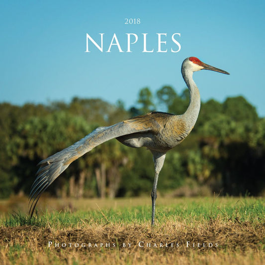 2018 Naples