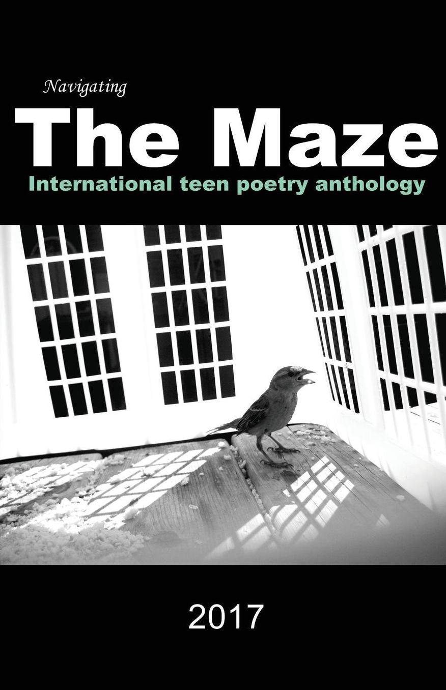 Navigating the Maze