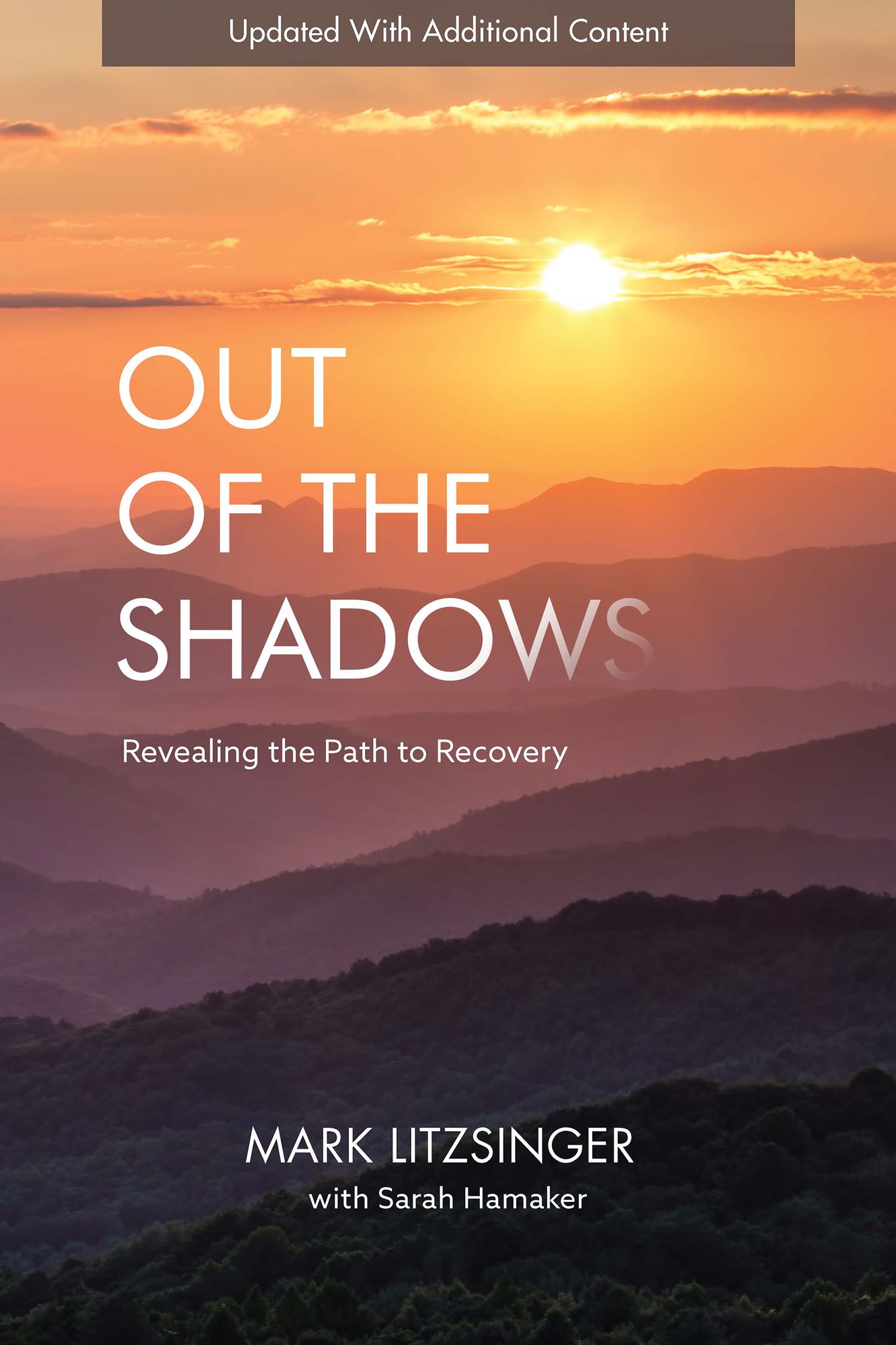 Out of the Shadows: Revealing the Path to Recovery