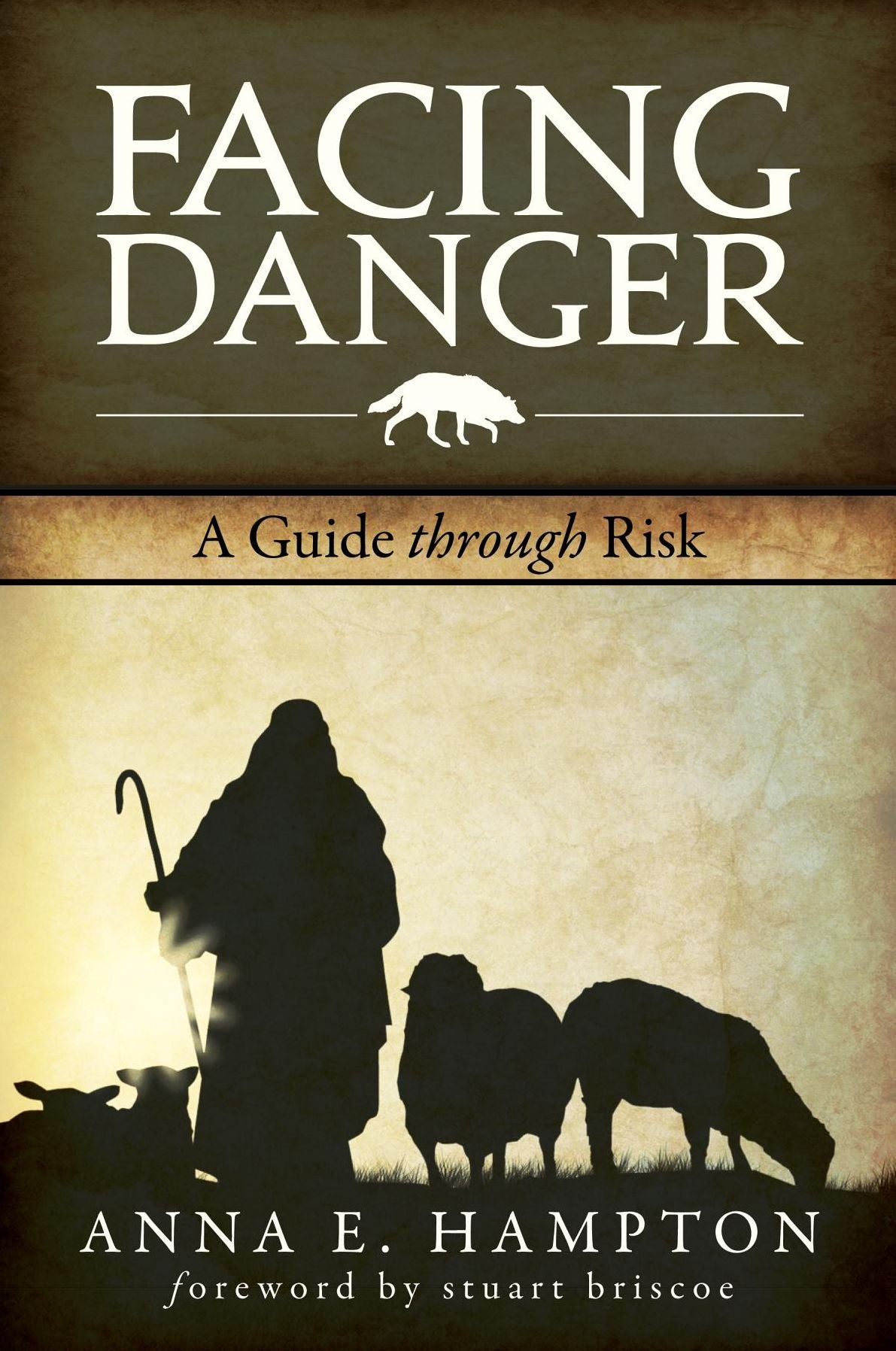 Facing Danger: A Guide Through Risk