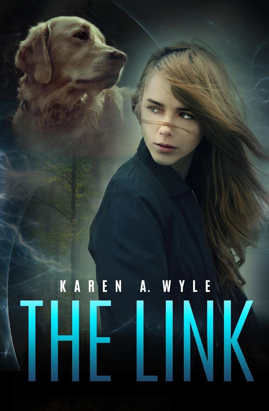 The Link