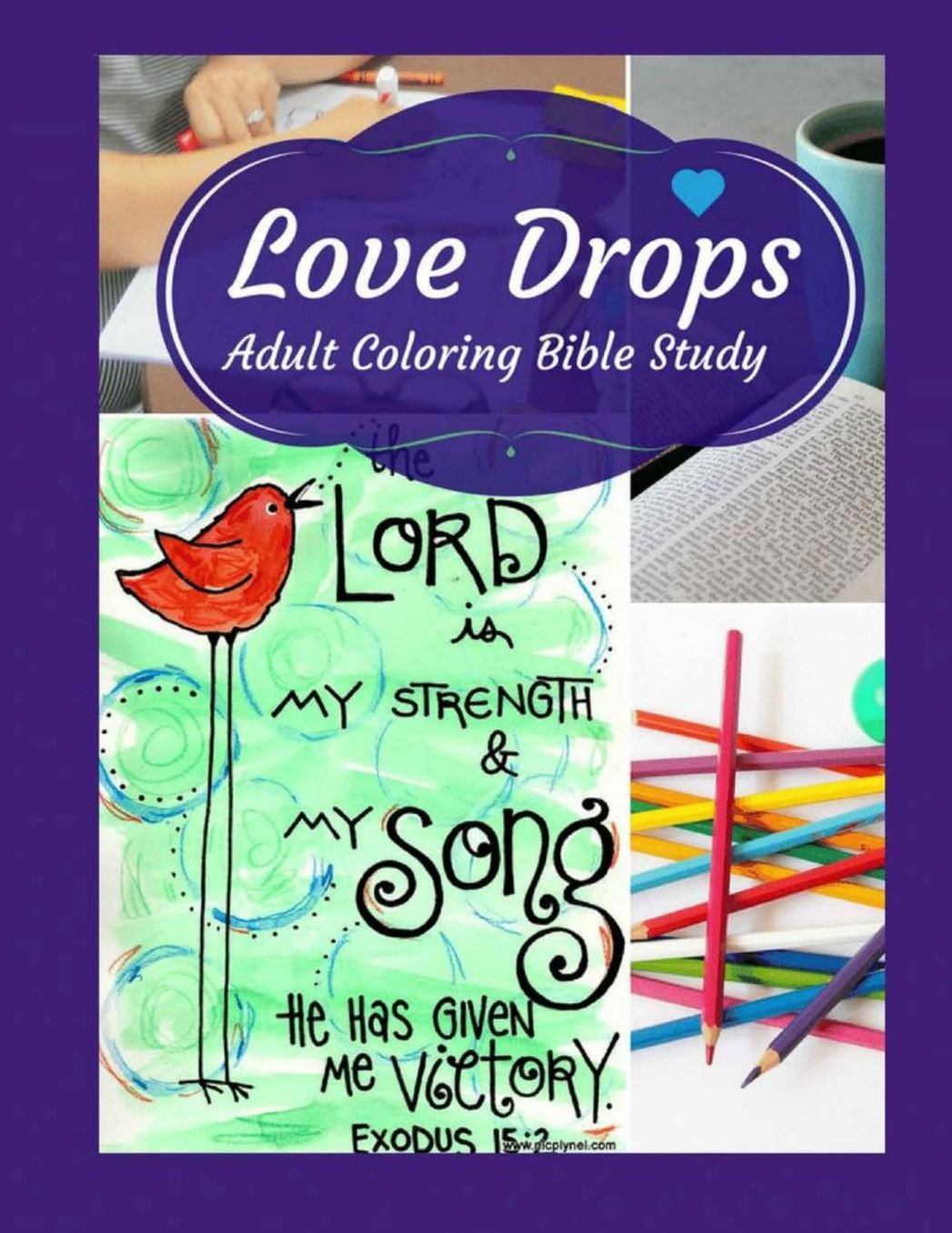 Adult Coloring Bible Study: Love Drops
