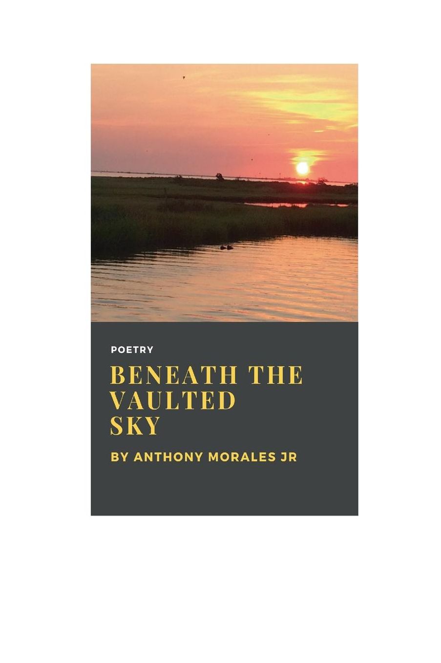 Beneath the Vaulted Sky