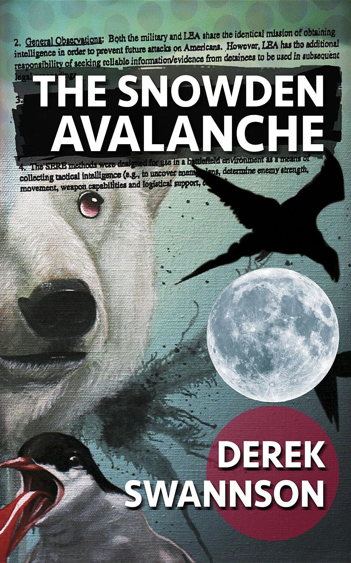 The Snowden Avalanche