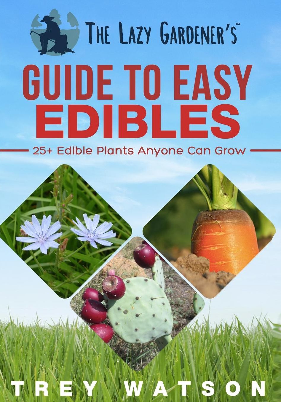 The Lazy Gardener's Guide To Easy Edibles: 25+ Edible Plants Anyone Can Grow