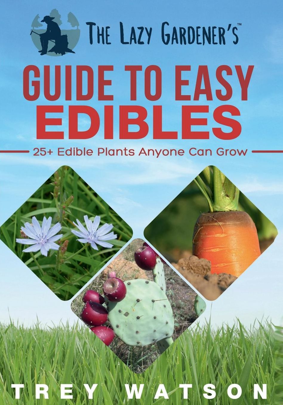The Lazy Gardener's Guide to Easy Edibles