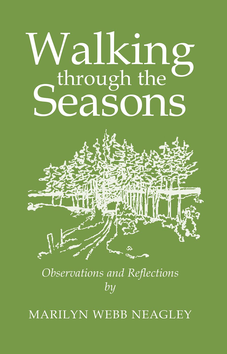 Walking Through the Seasons: Observations and Reflections