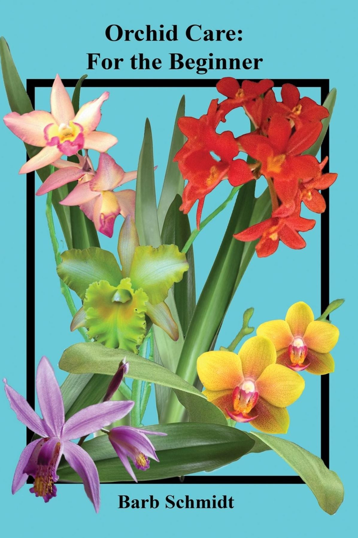 Orchid Care: For the Beginner