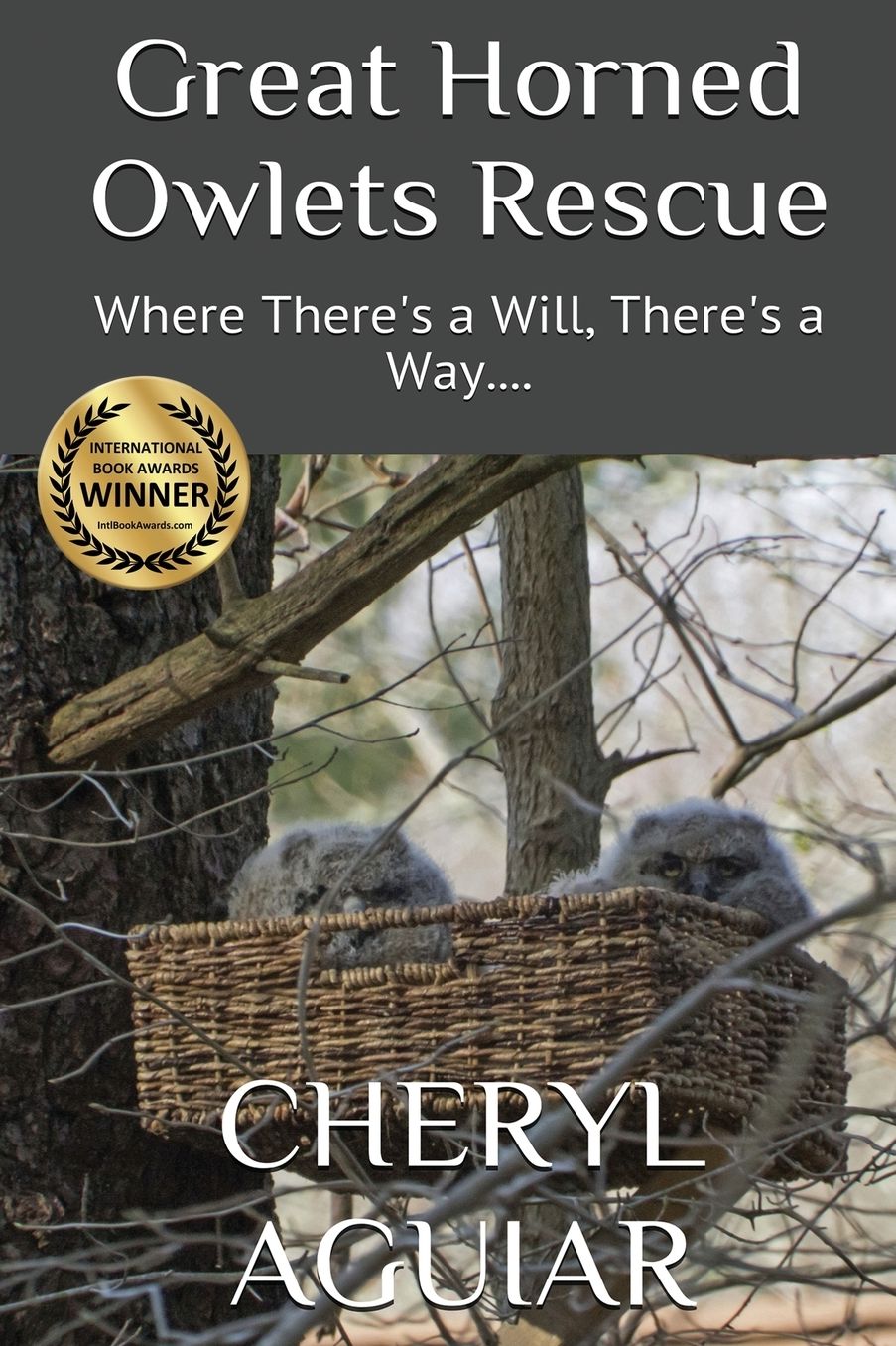 Great Horned Owlets Rescue: Where There's a Will, There's a Way....