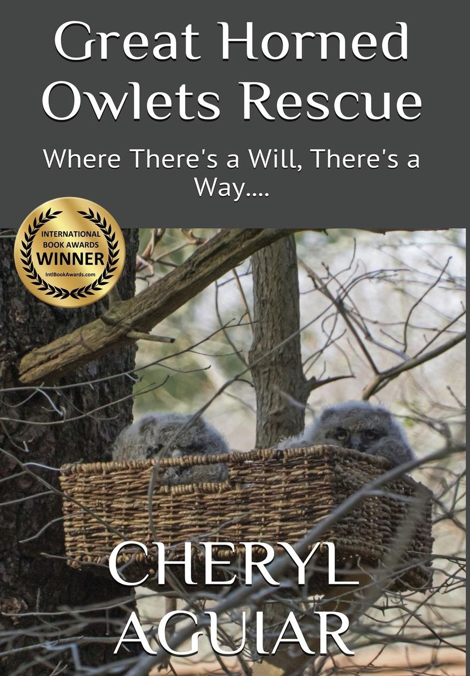 Great Horned Owlets Rescue: Where There's a Will, There's a Way....