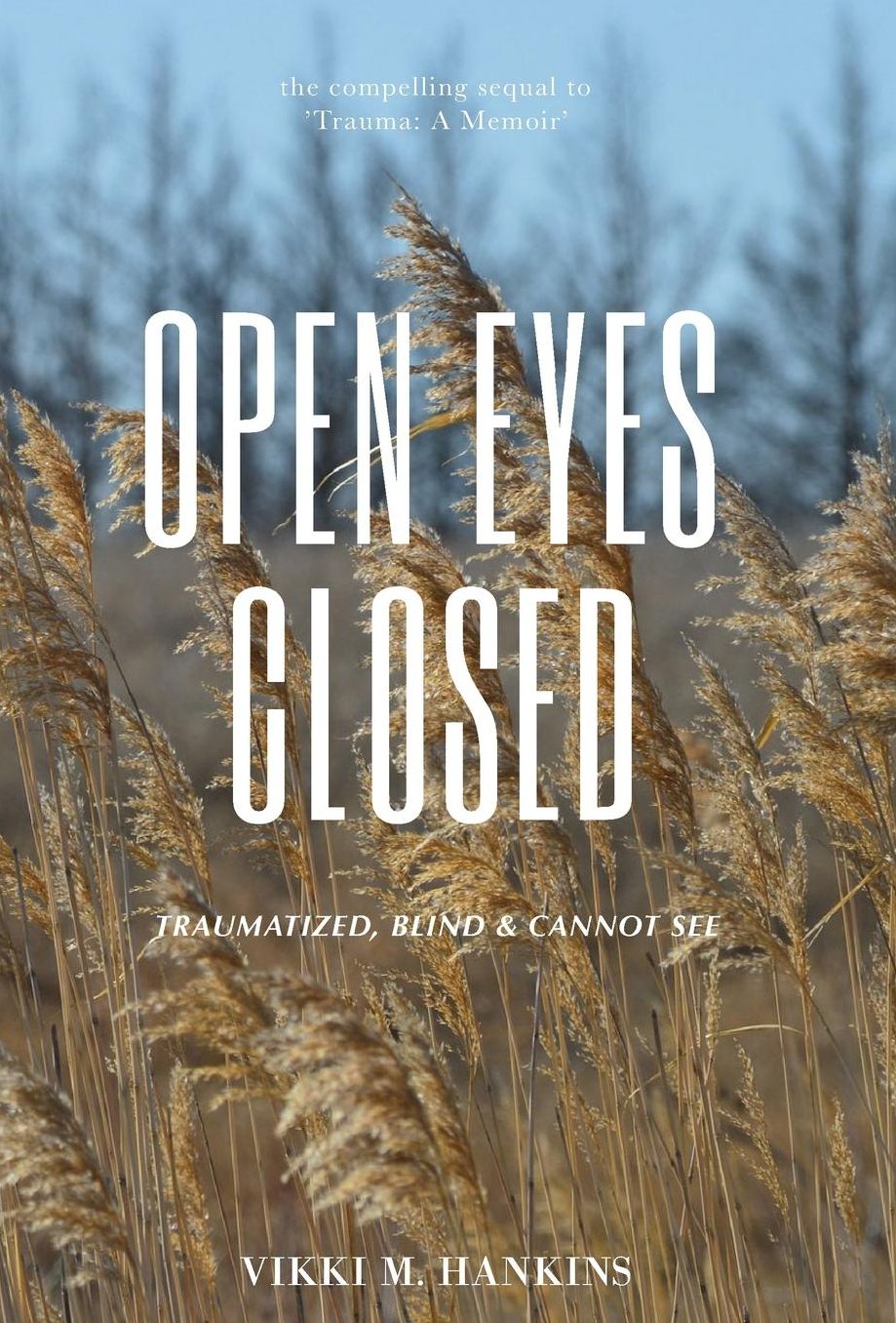 Open Eyes Closed: Traumatized, Blind & Cannot See