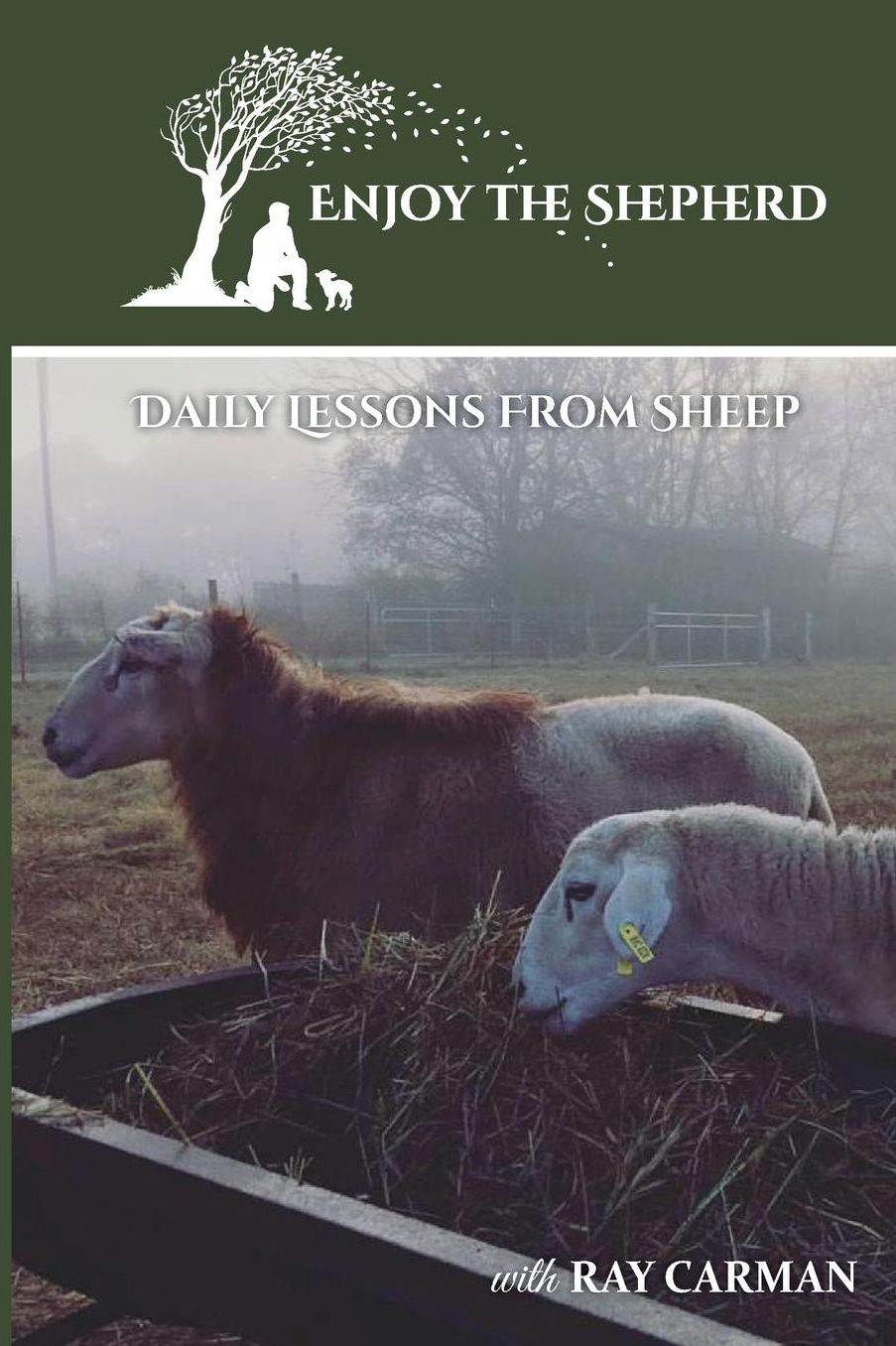 Enjoy The Shepherd: Daily Lessons From Sheep