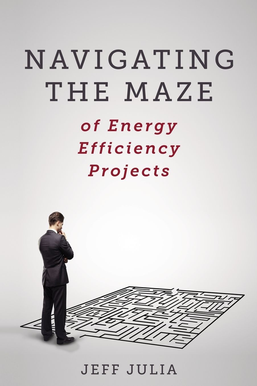 Navigating the Maze: of Energy Efficiency Projects