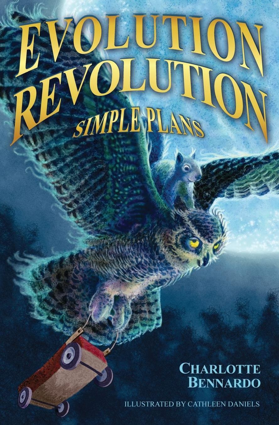 Evolution Revolution: Simple Plans