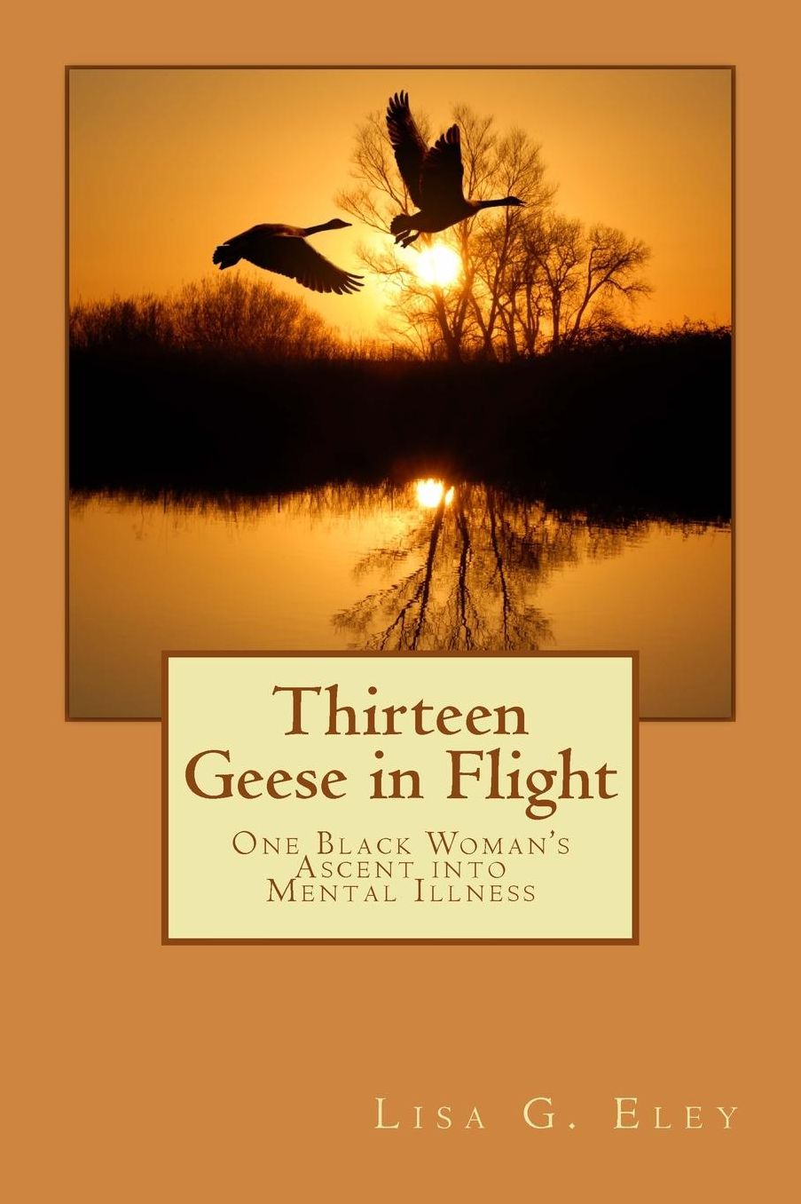 Thirteen Geese in Flight: One Black Woman's Ascent into Mental Illness