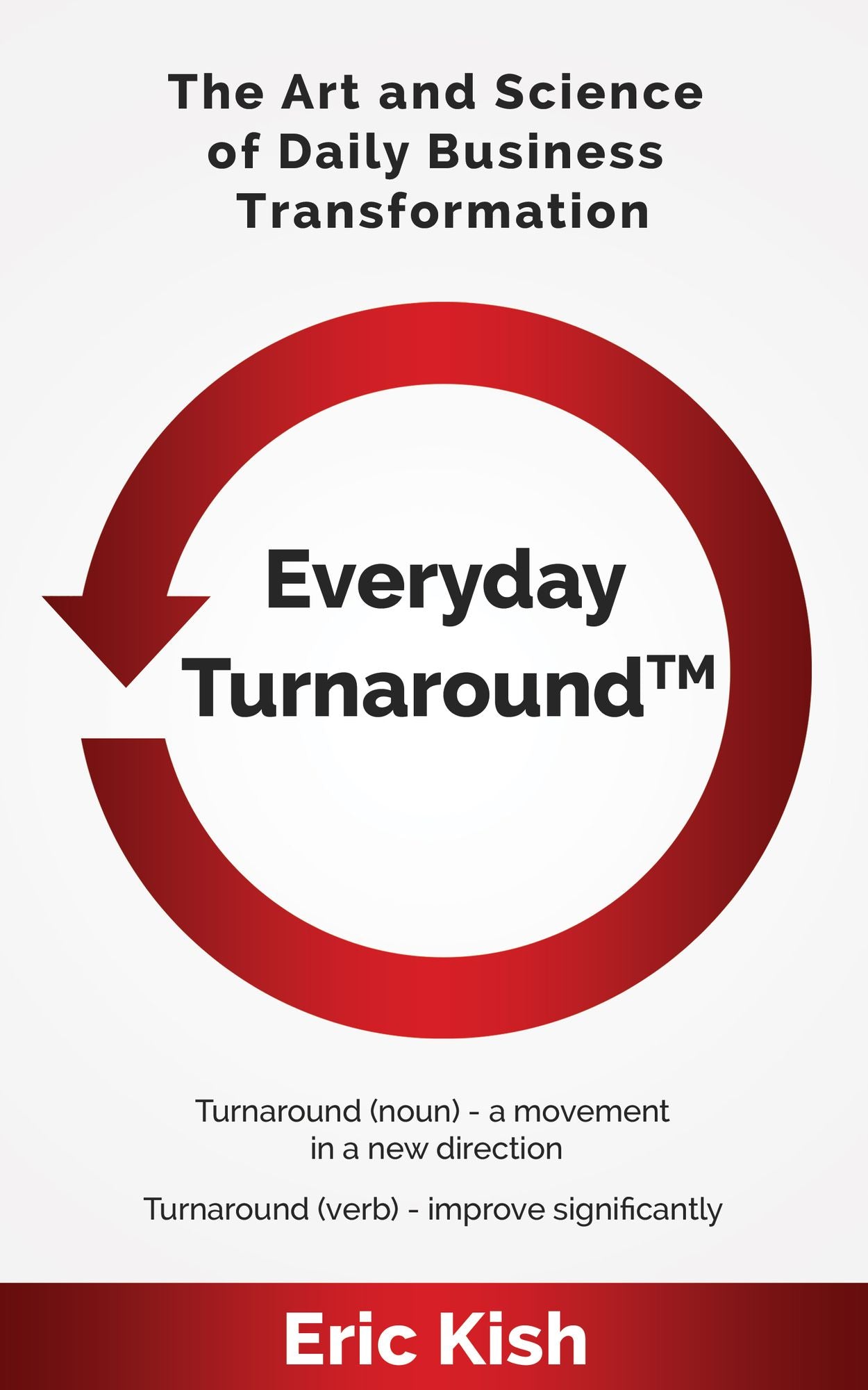 Everyday Turnaround: The Art and Science of Daily Business Transformation