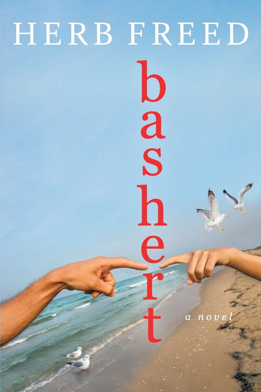 Bashert: a novel