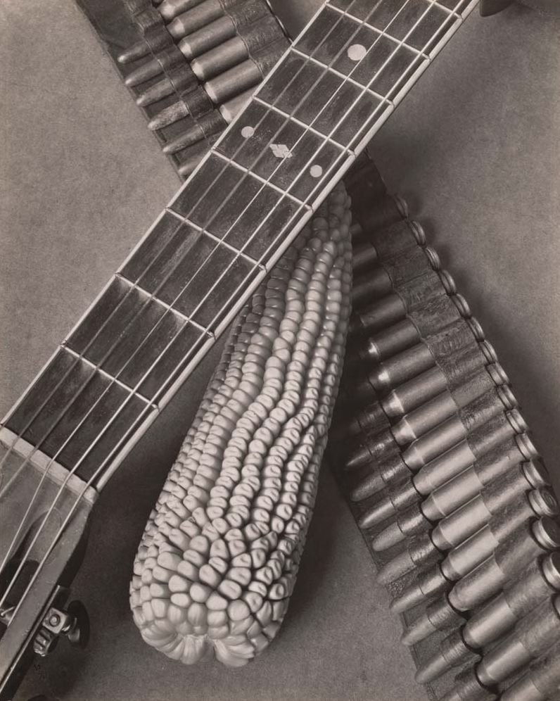 Another Promised Land: Anita Brenner's Mexico