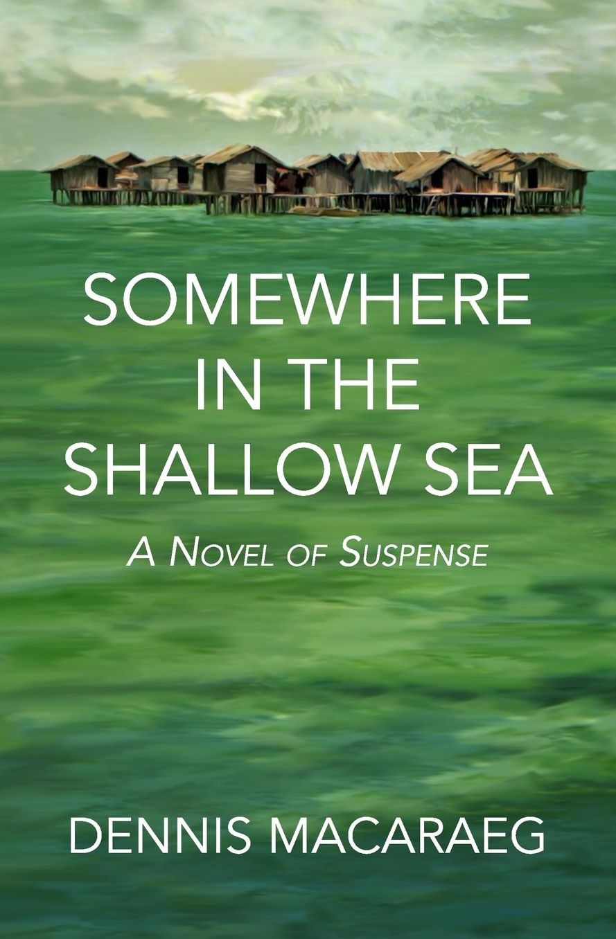 Somewhere in the Shallow Sea: A Novel of Suspense