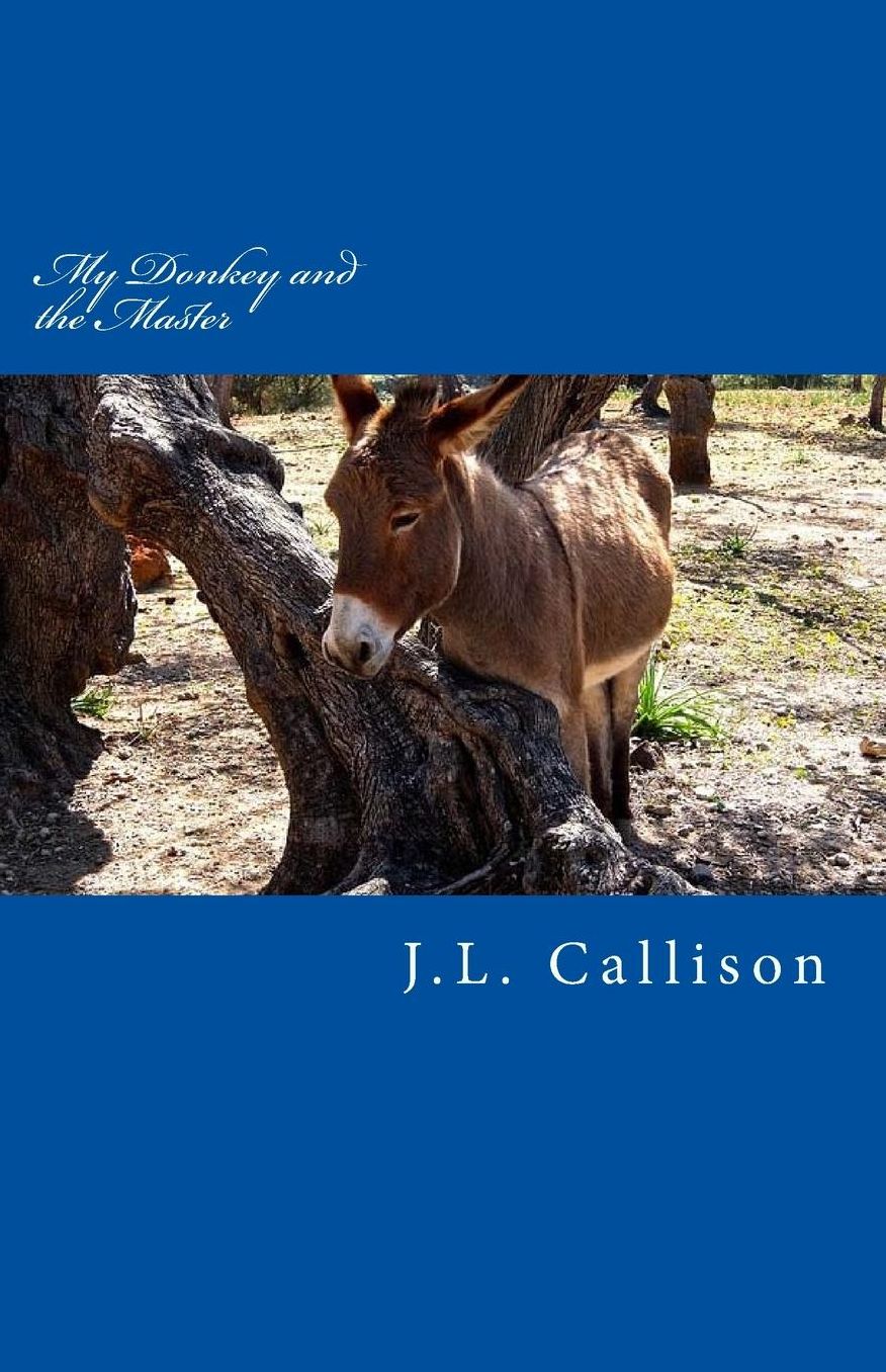 My Donkey and the Master: A Short Story of Sanctified Imagination