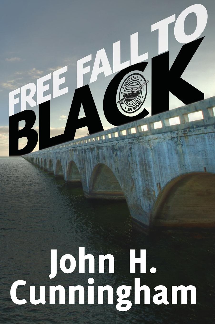 Free Fall to Black (Buck Reilly Adventure Series Book 6)