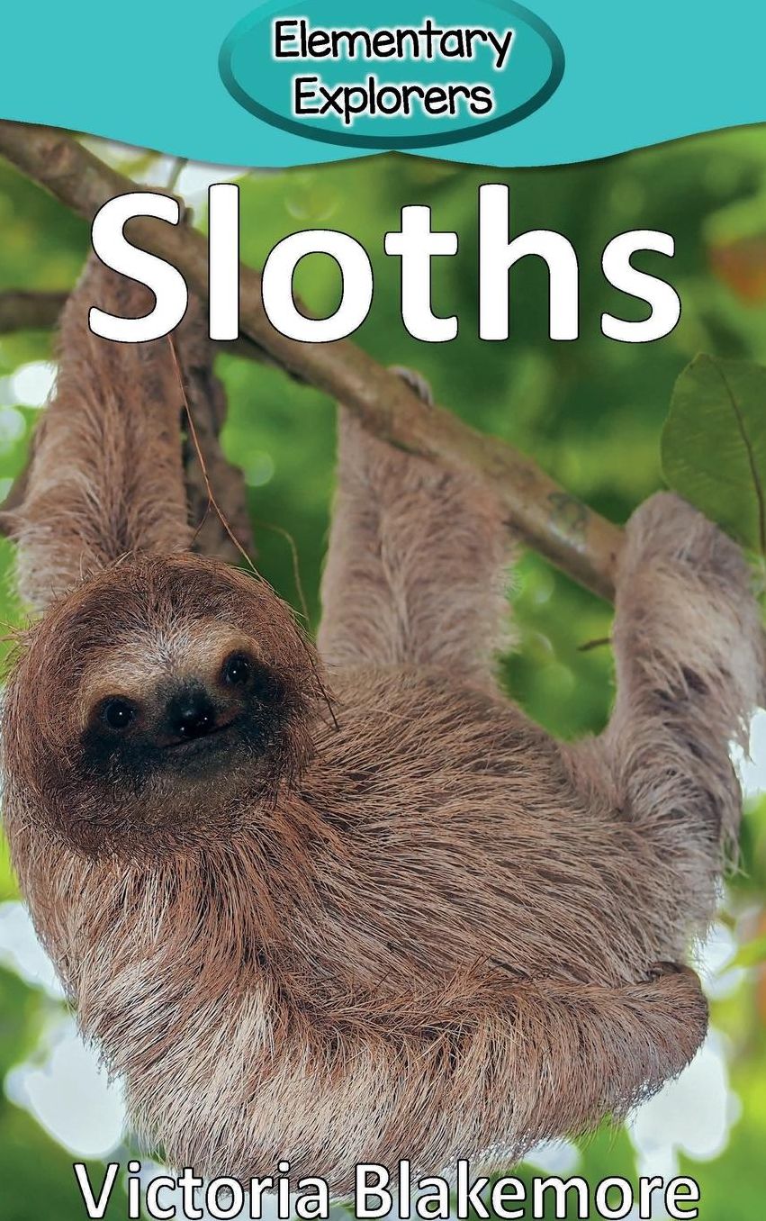 Sloths