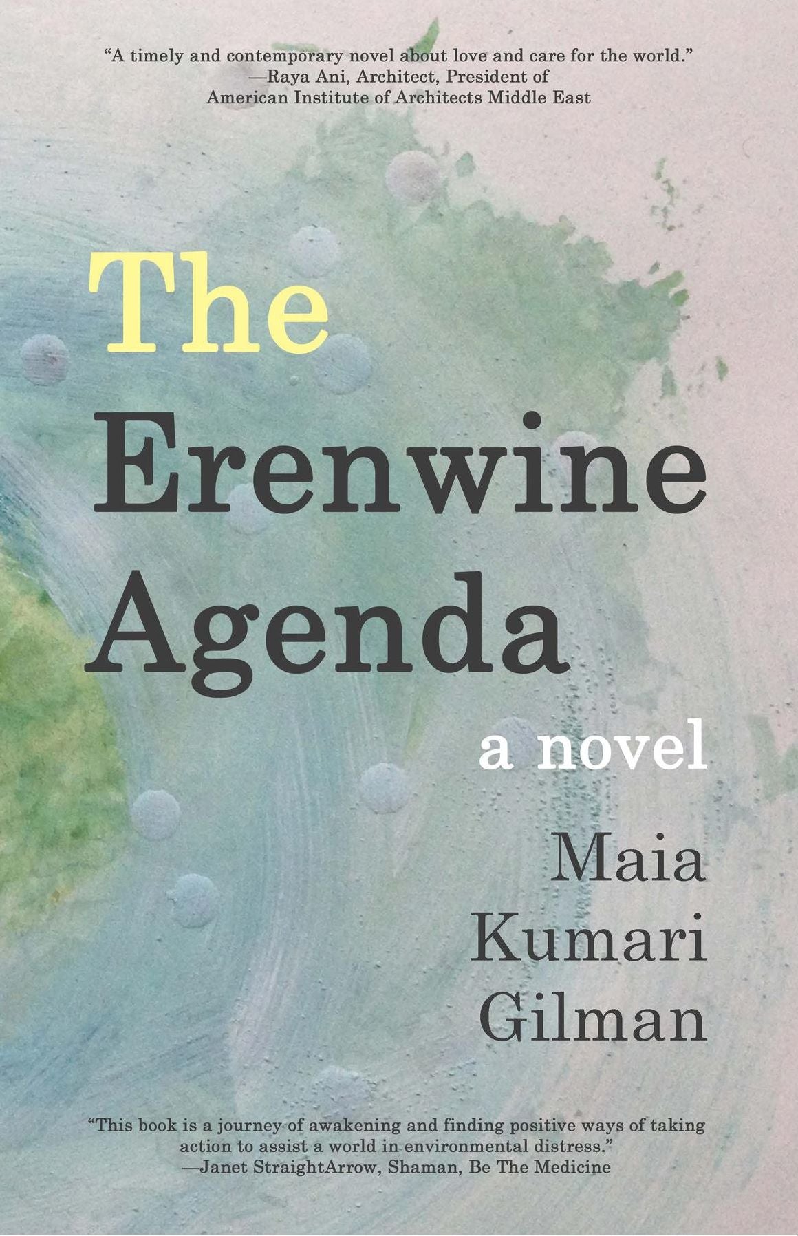 The Erenwine Agenda: a novel