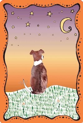Divine Dog Wisdom Cards: A 62-Card Deck & Guidebook
