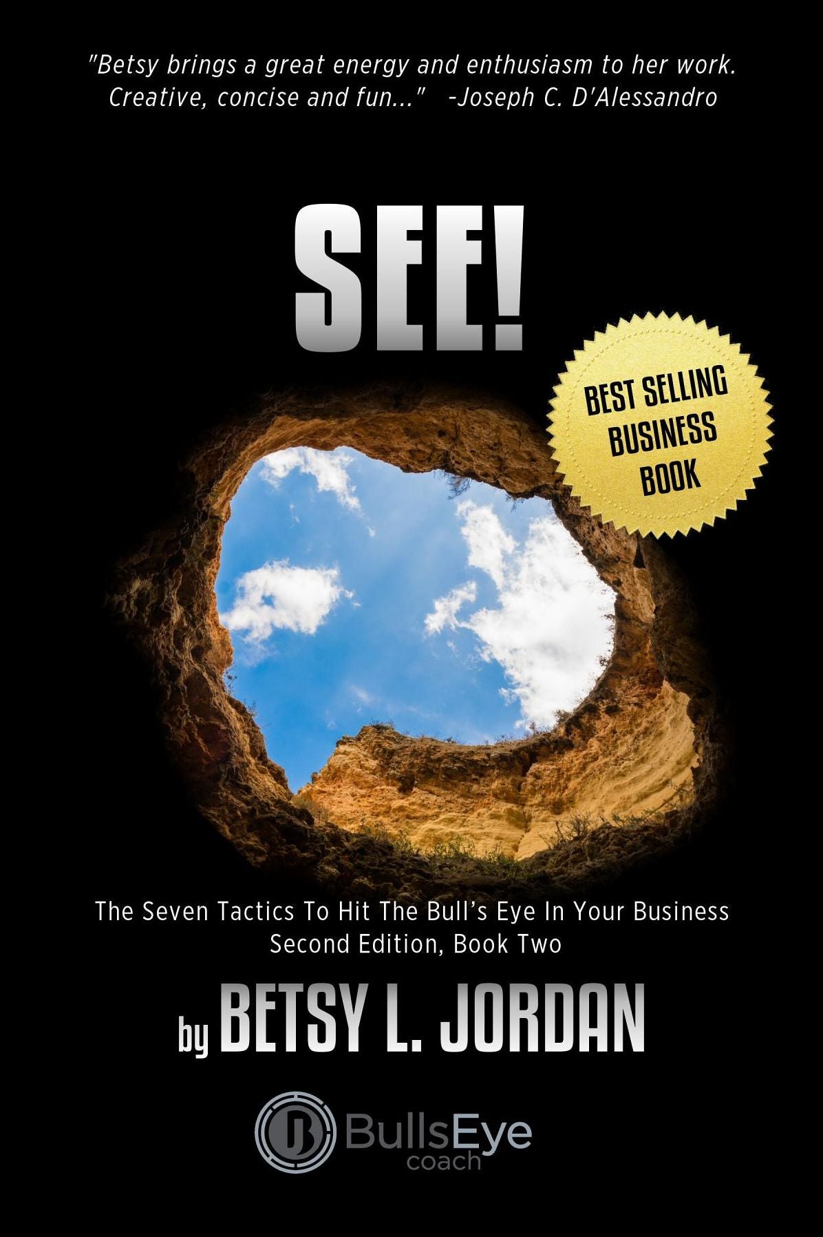 See!: The Seven Tactics To Hit The Bull's Eye In Your Business, Book Two