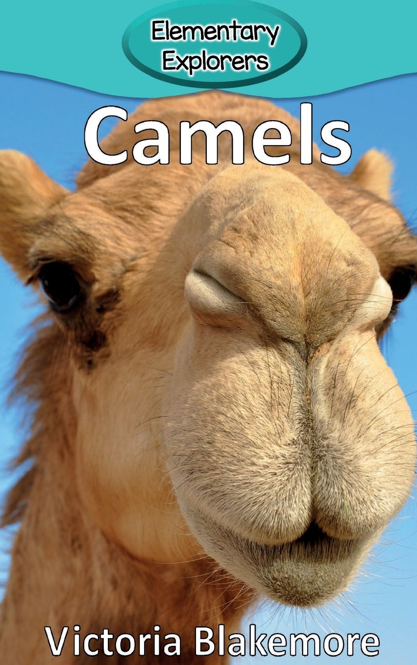 Camels