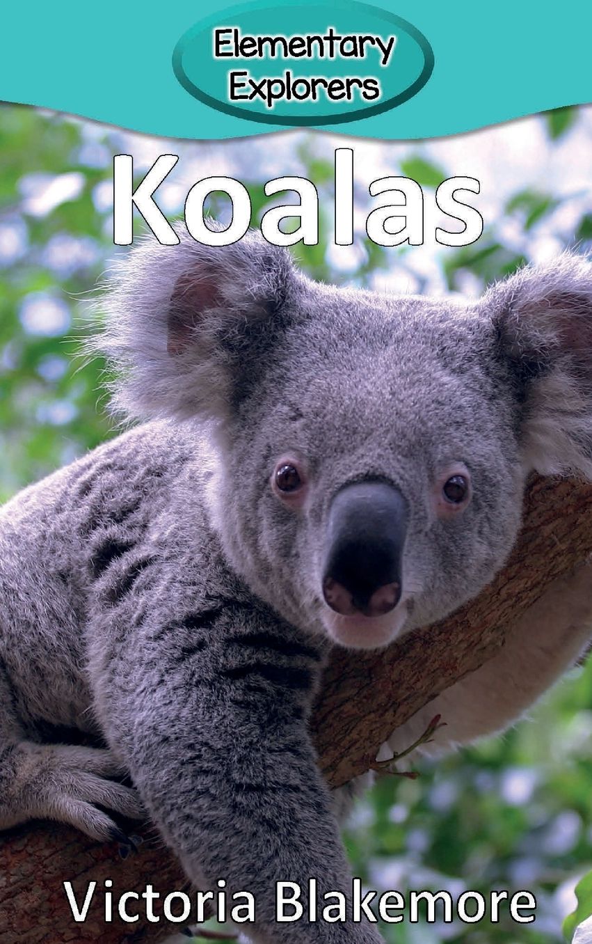 Koalas