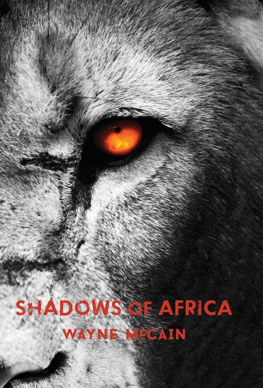 Shadows of Africa