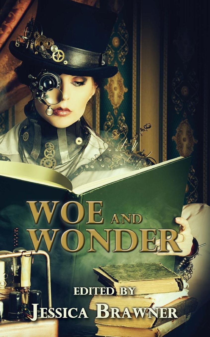 Woe and Wonder: 2016 Story of the Month Club Anthology