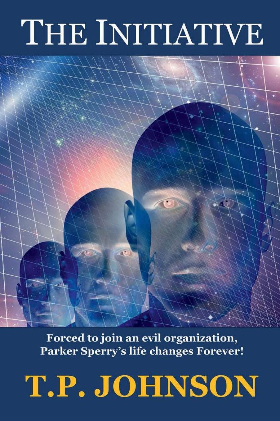 The Initiative